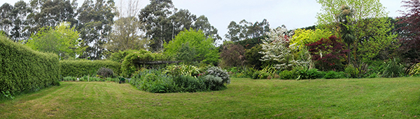  Beautifully mown grass. 