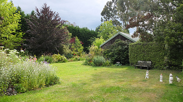  The cricketers on the back house lawn. 