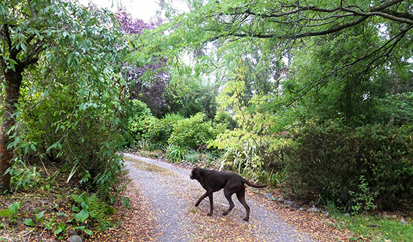  Off we go for another walk. 