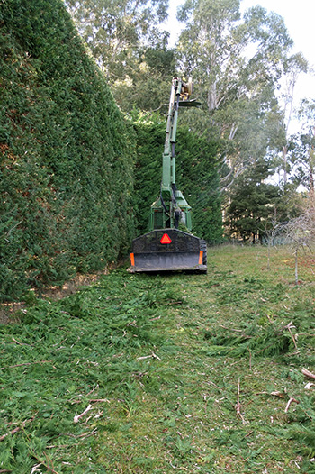  The south side, in the Orchard. 