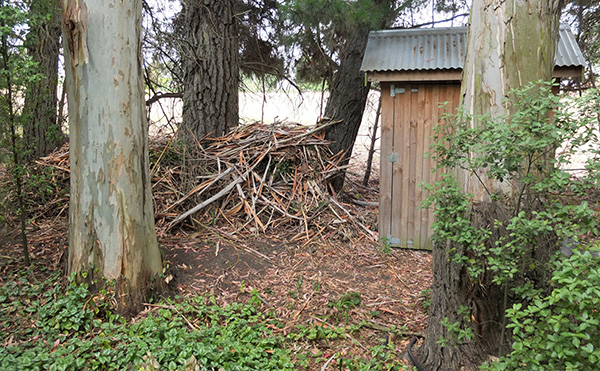  Piles of gum bark cleared from the gardens. 