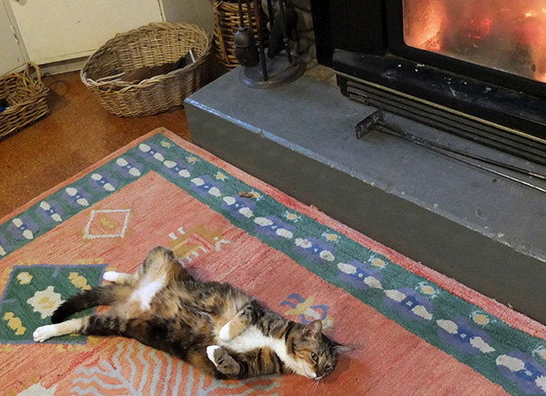  Relaxing by the log-burner. 