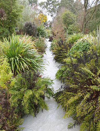  Photograph taken when the water came back up. 