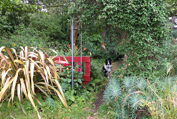 She wants to go to the pond. She wants to go to the pond.