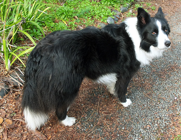  With her thick winter coat. 