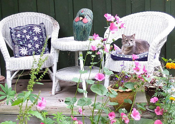  The chairs are put there especially for her to sit on, hee hee... 