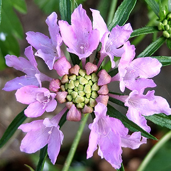  Photograph taken in winter. 