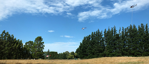  Photograph taken standing in my sheep paddock. 