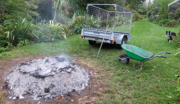  Ash, trailer, wheelbarrow, rake, and dog. 