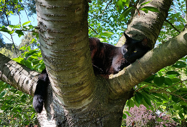  Watching the gardening action. 