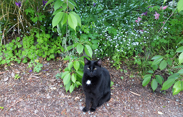  On her morning walk. 