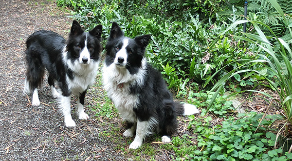  Pebbles and Winnie. 