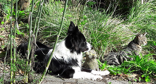  Enjoying the sunshine. 