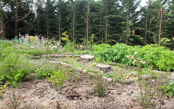  And my potato patches, to the left. 