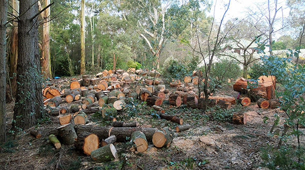  All waiting for me to stack them in the front paddock. 