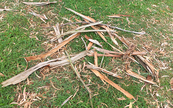  Yet again littered with gum tree bark and leaves. 