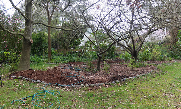  My new Pond Paddock Garden. 