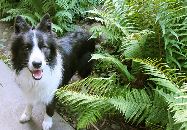 Always following me around. Always following me around.