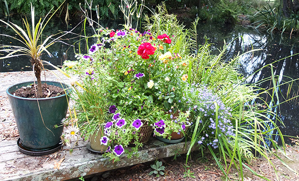  Mainly flowering annuals. 