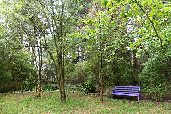  And a purple garden bench. 