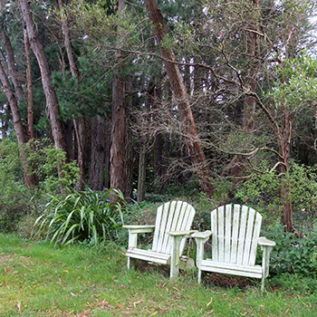  Adirondack seats. 