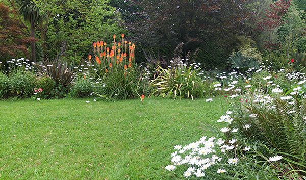  And red hot poker time as well! 