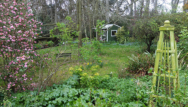  Looking through the garden towards Pond Cottage. 