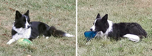  Much easier! The frisbee colours! 