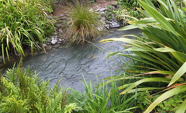  Fresh running water from the nearby river. 