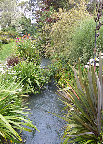  Lots of Phormiums and ornamental grasses. 