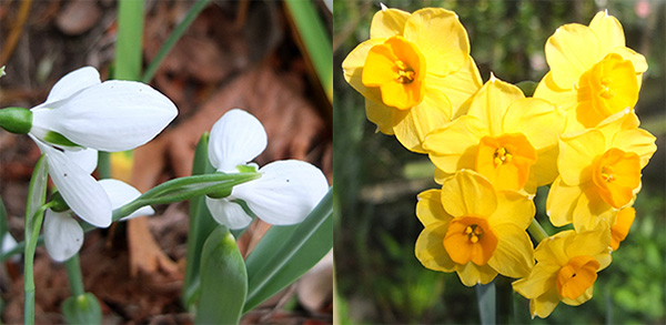  Winter treasures. 