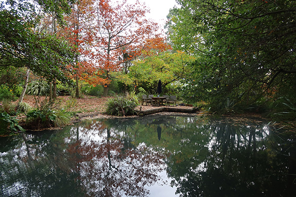  Looking over to the Decking and the Pond Paddock. 