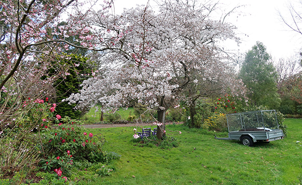  And trailer full of garden mix. 