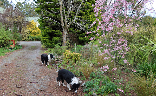  Up the driveway... 