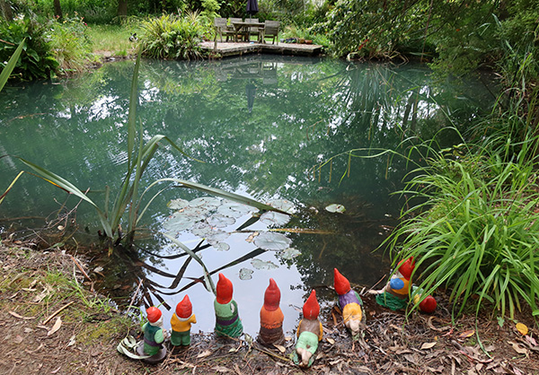  Very happy gnomes. The water lily is not so happy (very little sun). 
