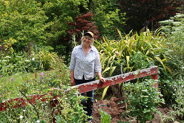  In the newly weeded garden. That fence needs painting! 