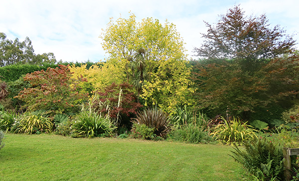  The trees over the water race are changing colour. 