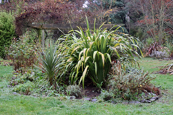 The wee garden in the middle of the back lawn. The wee garden in the middle of the back lawn.