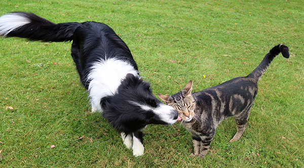  Pebbles loves Fred. 