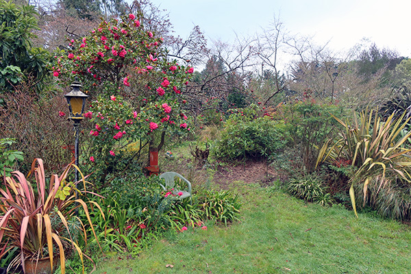  The Island Bed is on the left. 