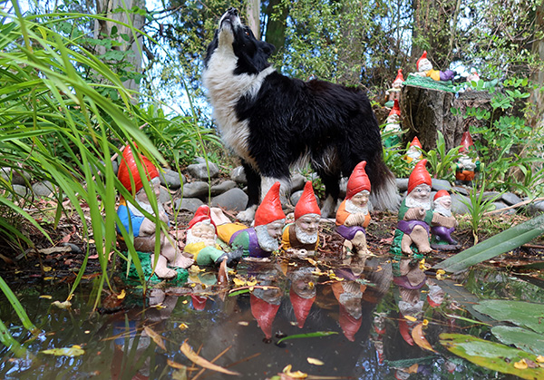  Just able to stand on the muddy bottom and take this photograph. Kept the camera dry. Phew! 