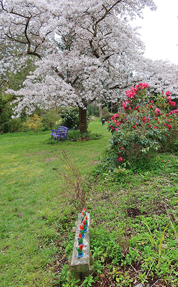  Gnomes, Rhododendron, Cherry blossom... 