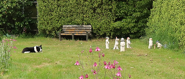  On the back house lawn. 