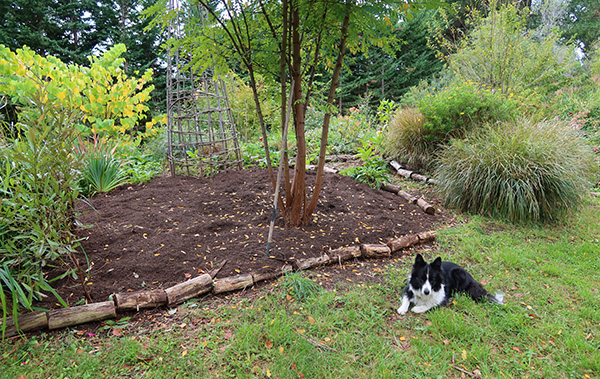  Garden mix spread. 