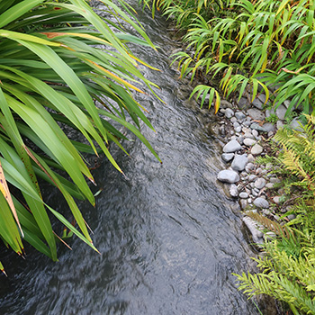  This section is visible from the back lawn. 