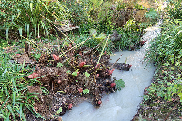  And a lost garden bench is uncovered! 