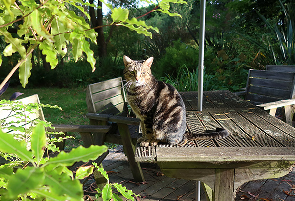 Just enjoying the sunshine... Just enjoying the sunshine...