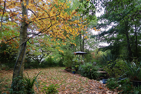  View from the cottage verandah. 