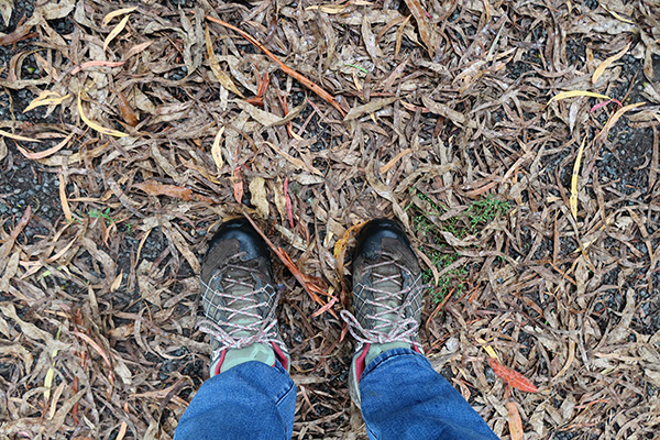  And my grubby gardening boots. 