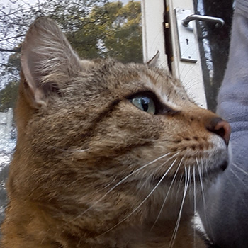  On the cottage verandah. 